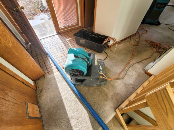 Best Commercial water damage restoration  in Old Jefferson, LA