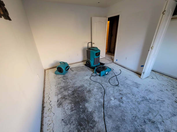Best Local water damage restoration  in Old Jefferson, LA
