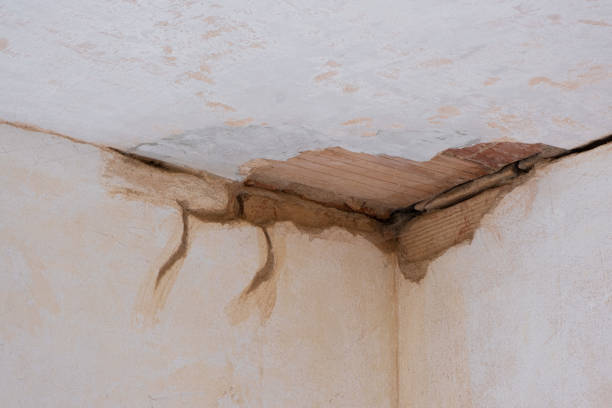 Best Flood damage cleanup  in Old Jefferson, LA