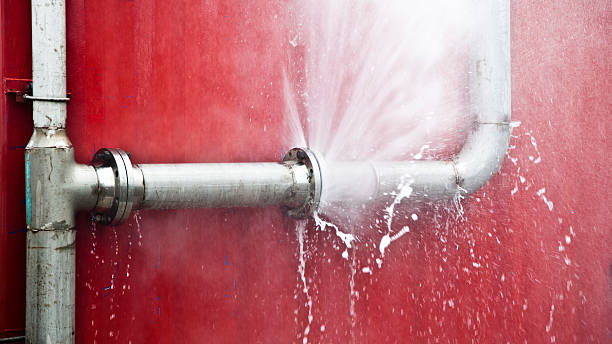 Best Professional water damage repair  in Old Jefferson, LA